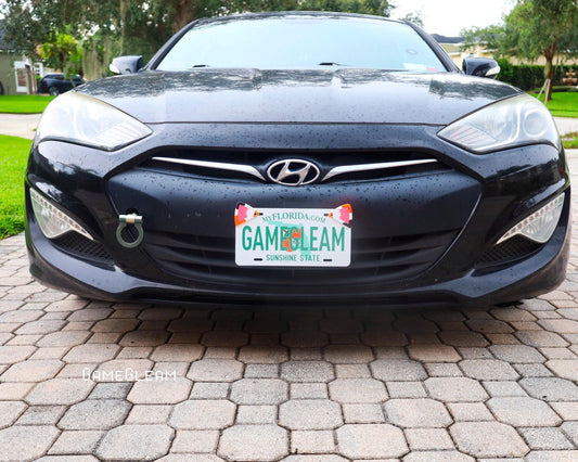 Black car with a custom Florida license plate reading GAMEGLEAM parked on a brick driveway