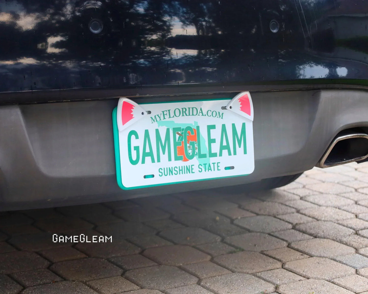 Florida license plate with playful shark fin car accessory on parked black vehicle