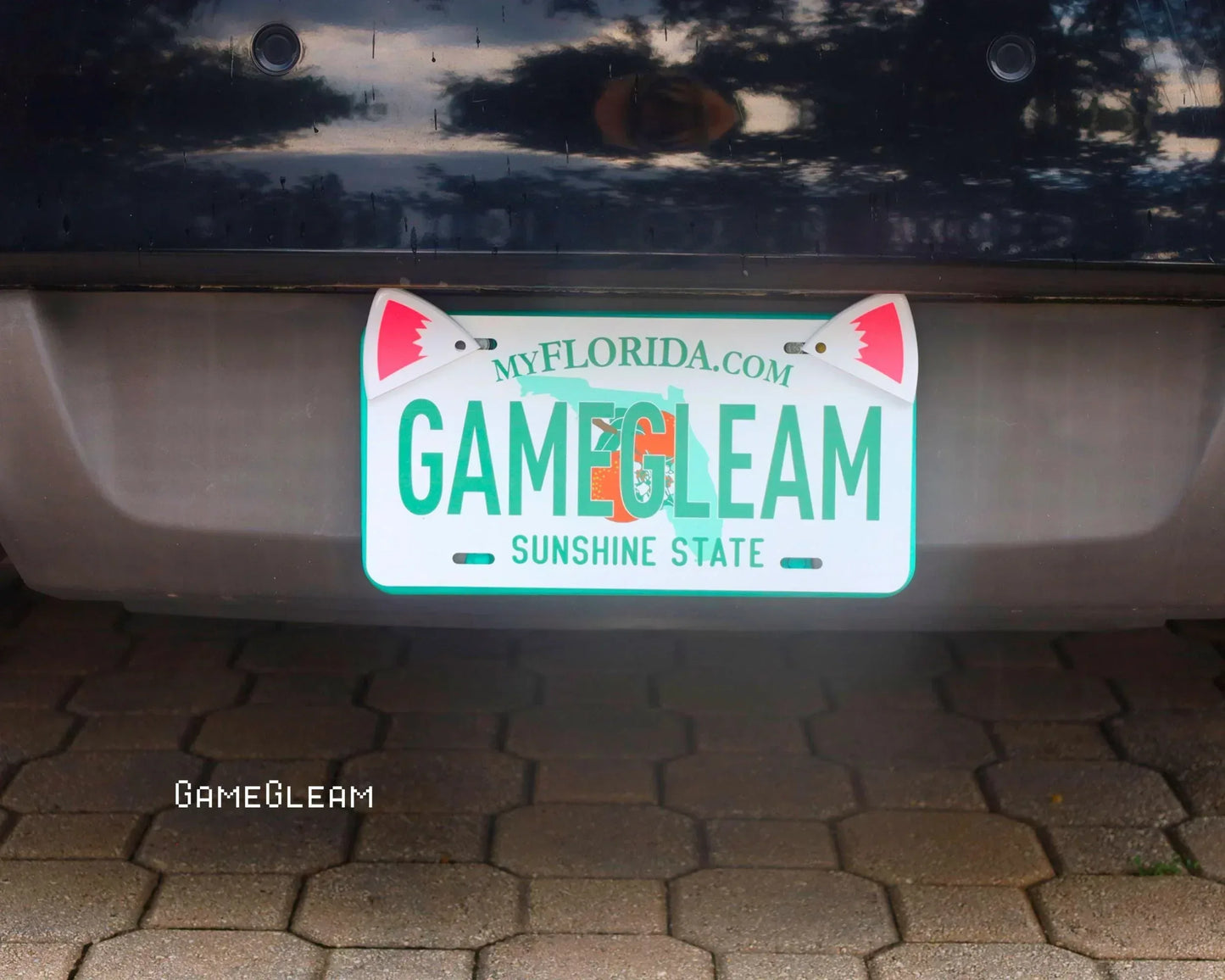 Florida car license plate with shark fin decorations, sunlight reflecting on pavement.