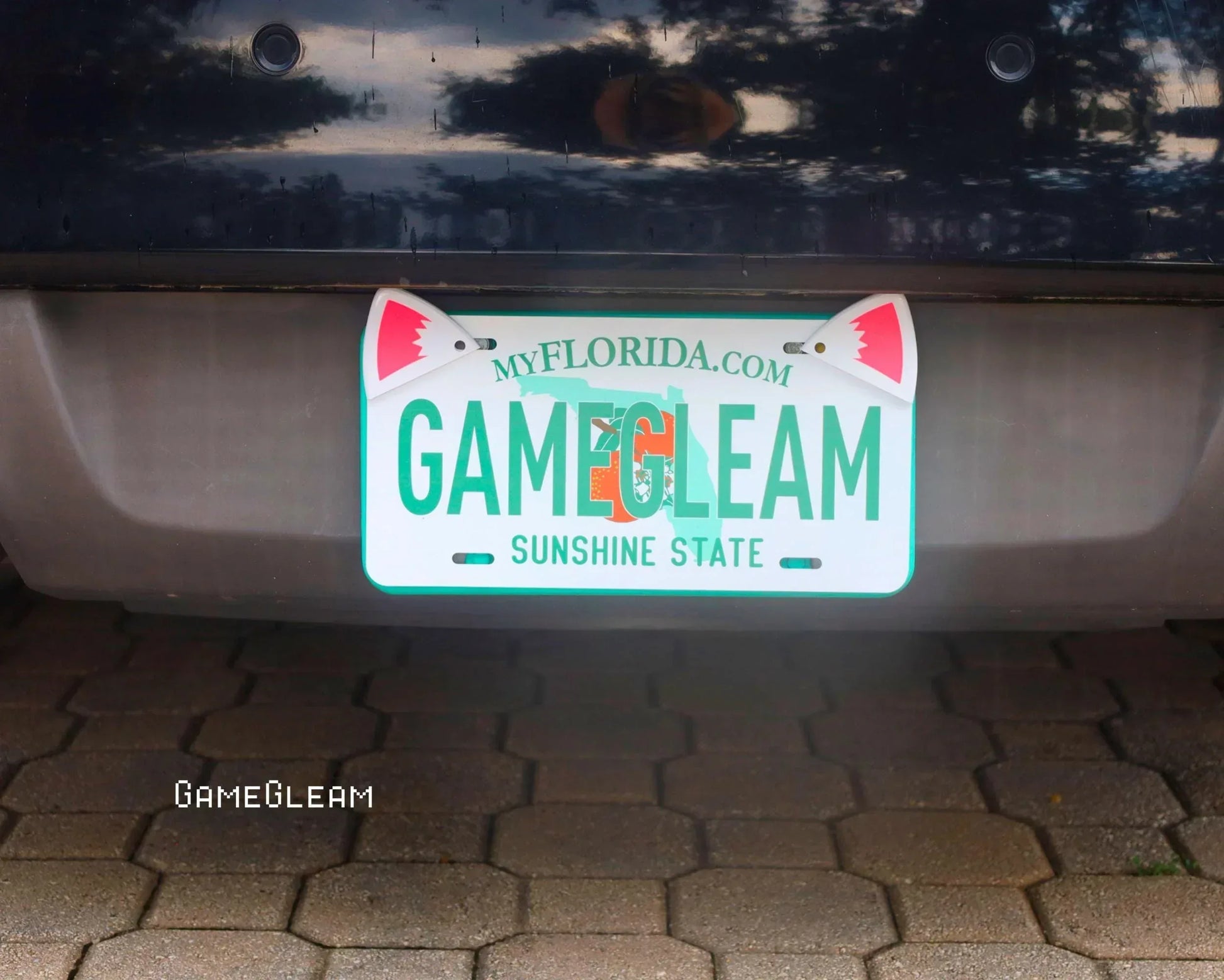 Florida car license plate with shark fin decorations, sunlight reflecting on pavement.