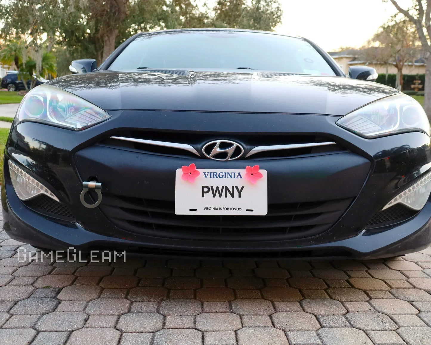 Black Hyundai car front with custom Virginia license plate reading PWNY and flower decor