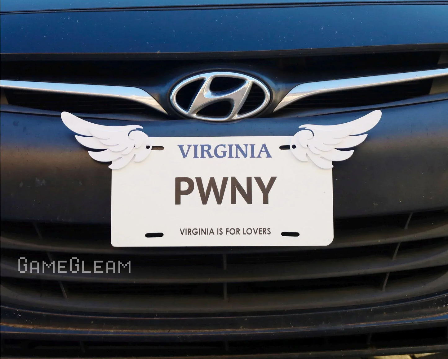 Novelty Virginia license plate with PWNY text and attached white wing decorations on a car grill