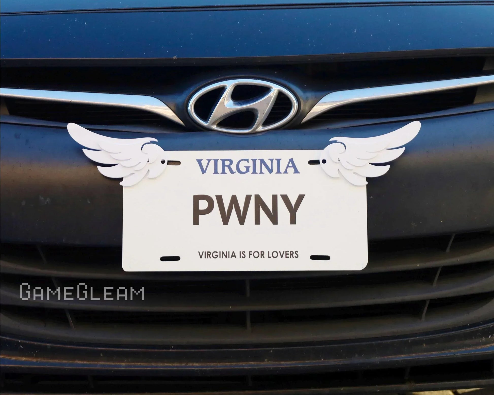 Novelty Virginia license plate with PWNY text and attached white wing decorations on a car grill