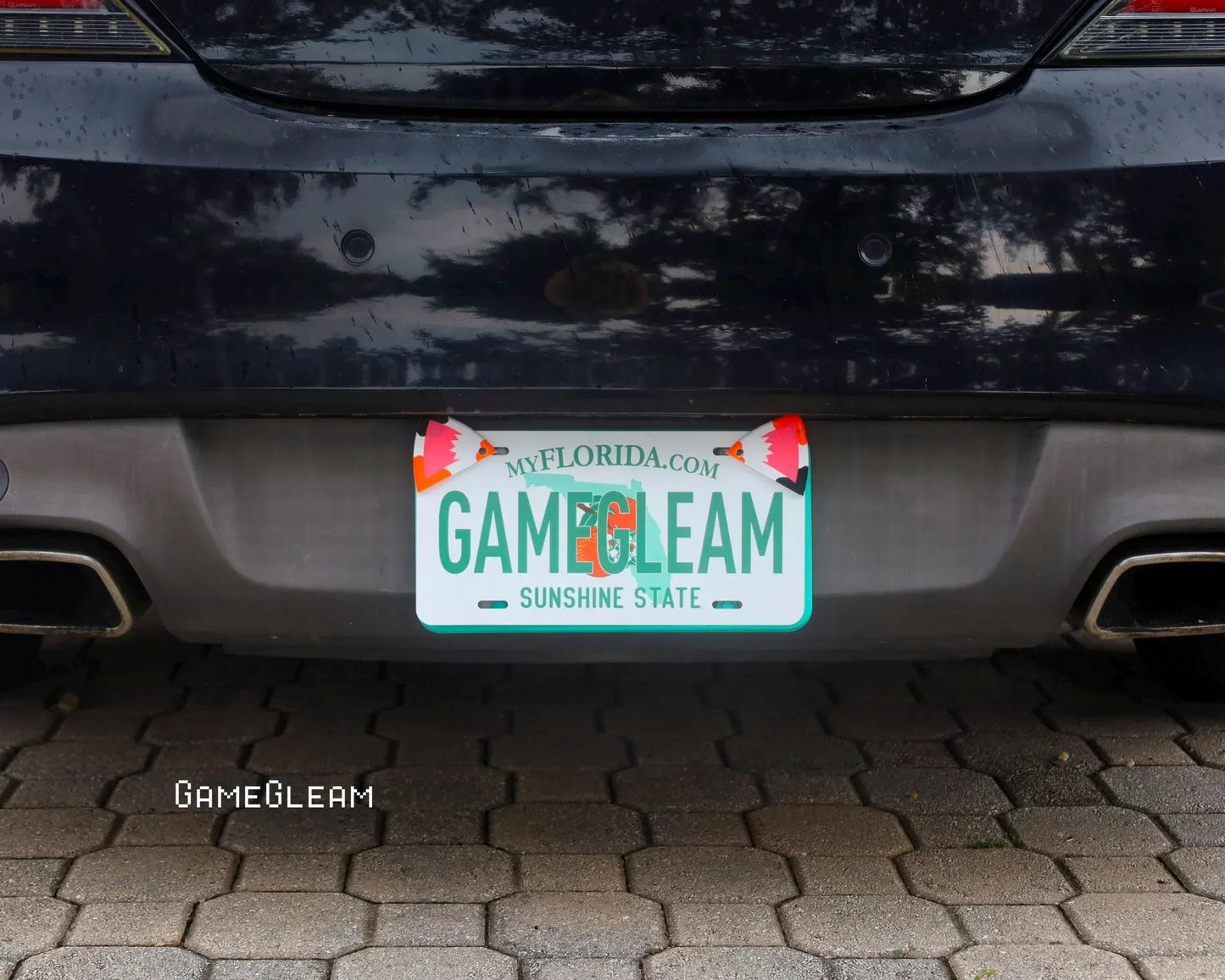 Custom Florida license plate on black car, reads 'GAMEGLEAM' with fox graphics, outdoors