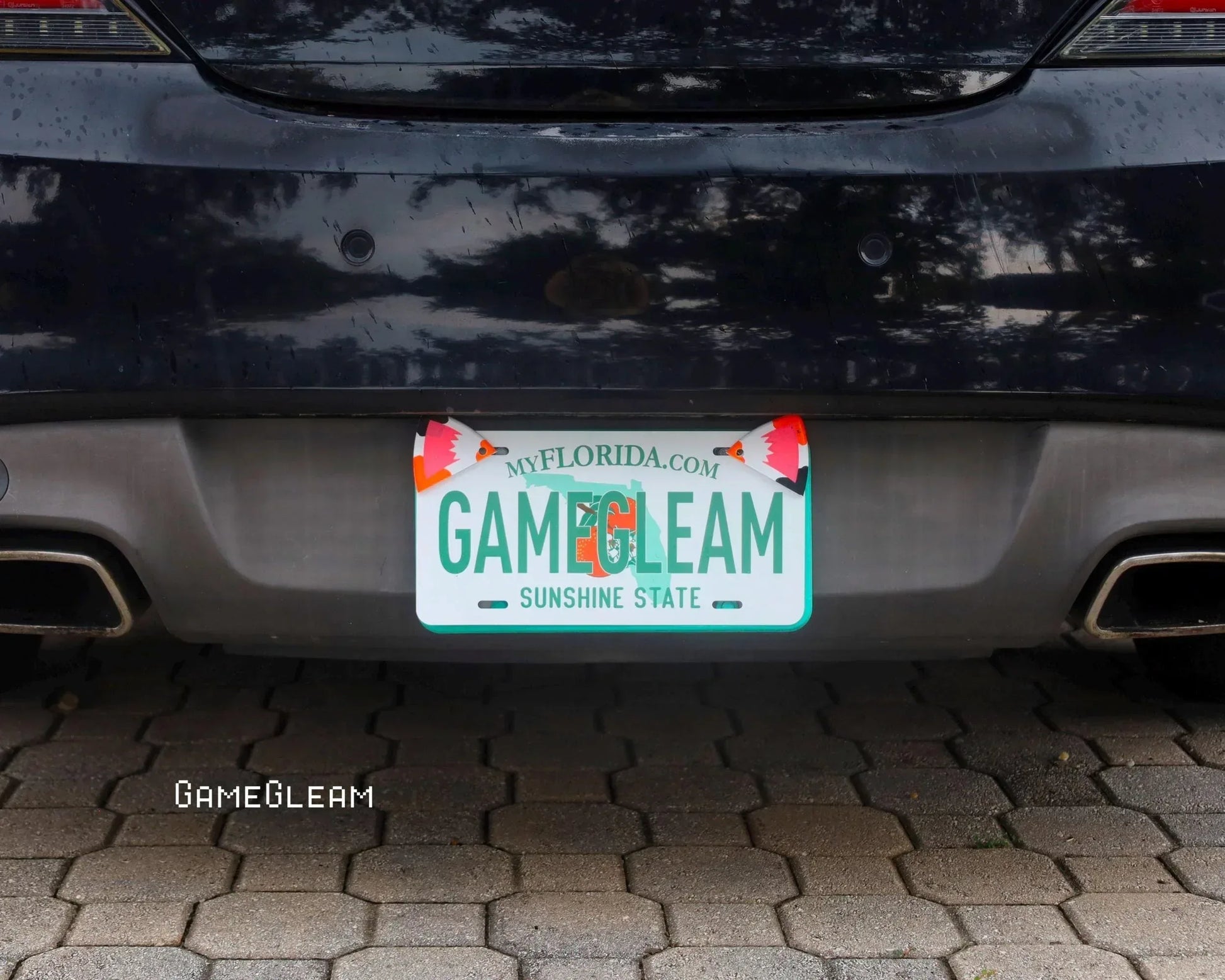 Custom Florida license plate on black car, reads 'GAMEGLEAM' with fox graphics, outdoors