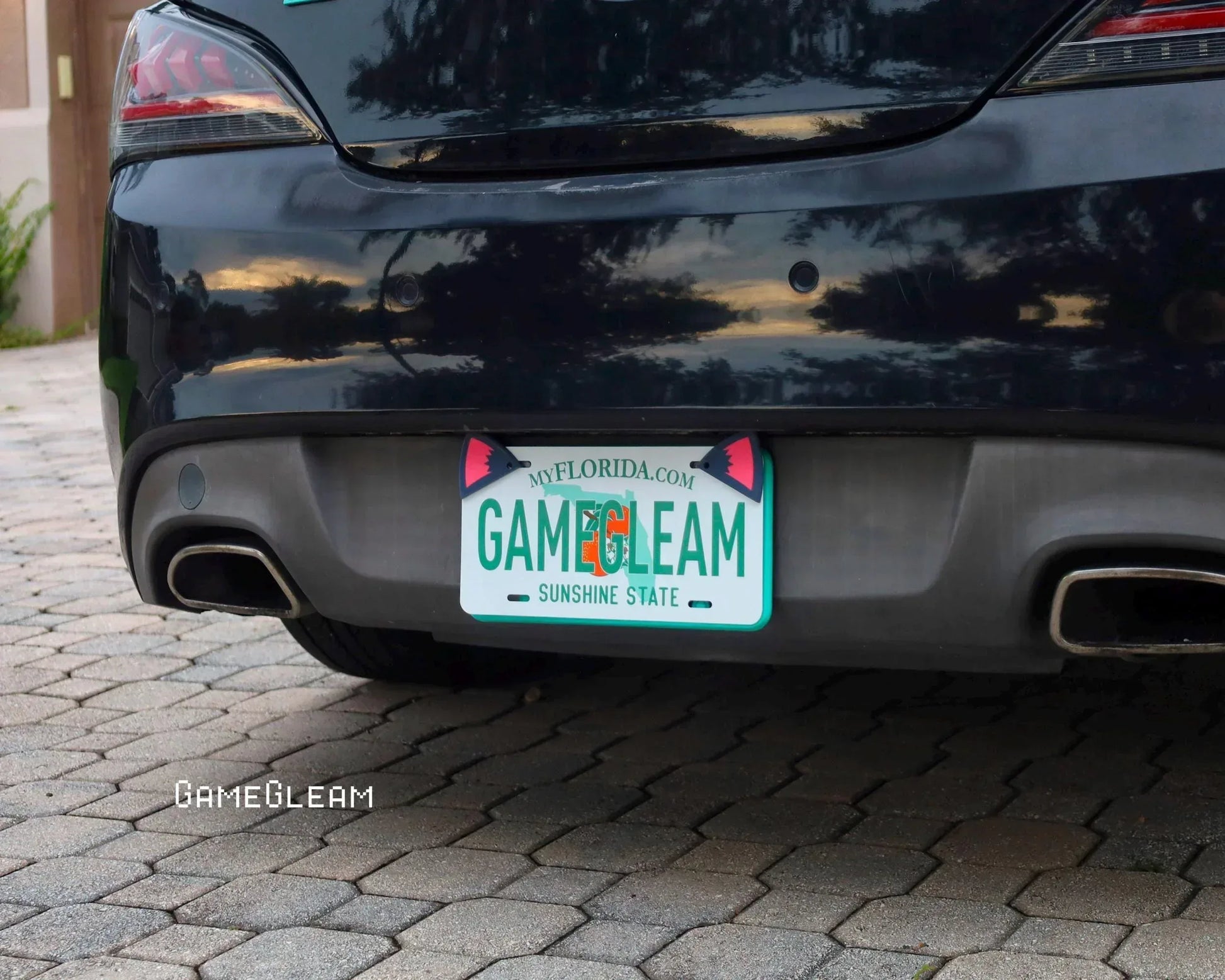 Custom Florida license plate reading GAMEGLEAM on a black car with pink cat ear frames.