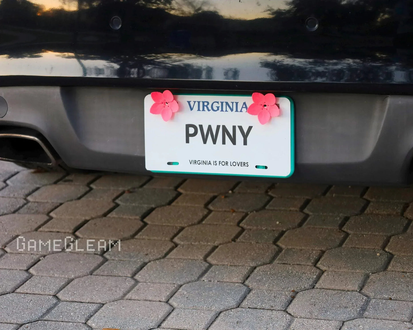 Virginia car license plate with pink flower accessories and playful custom text PWN Y