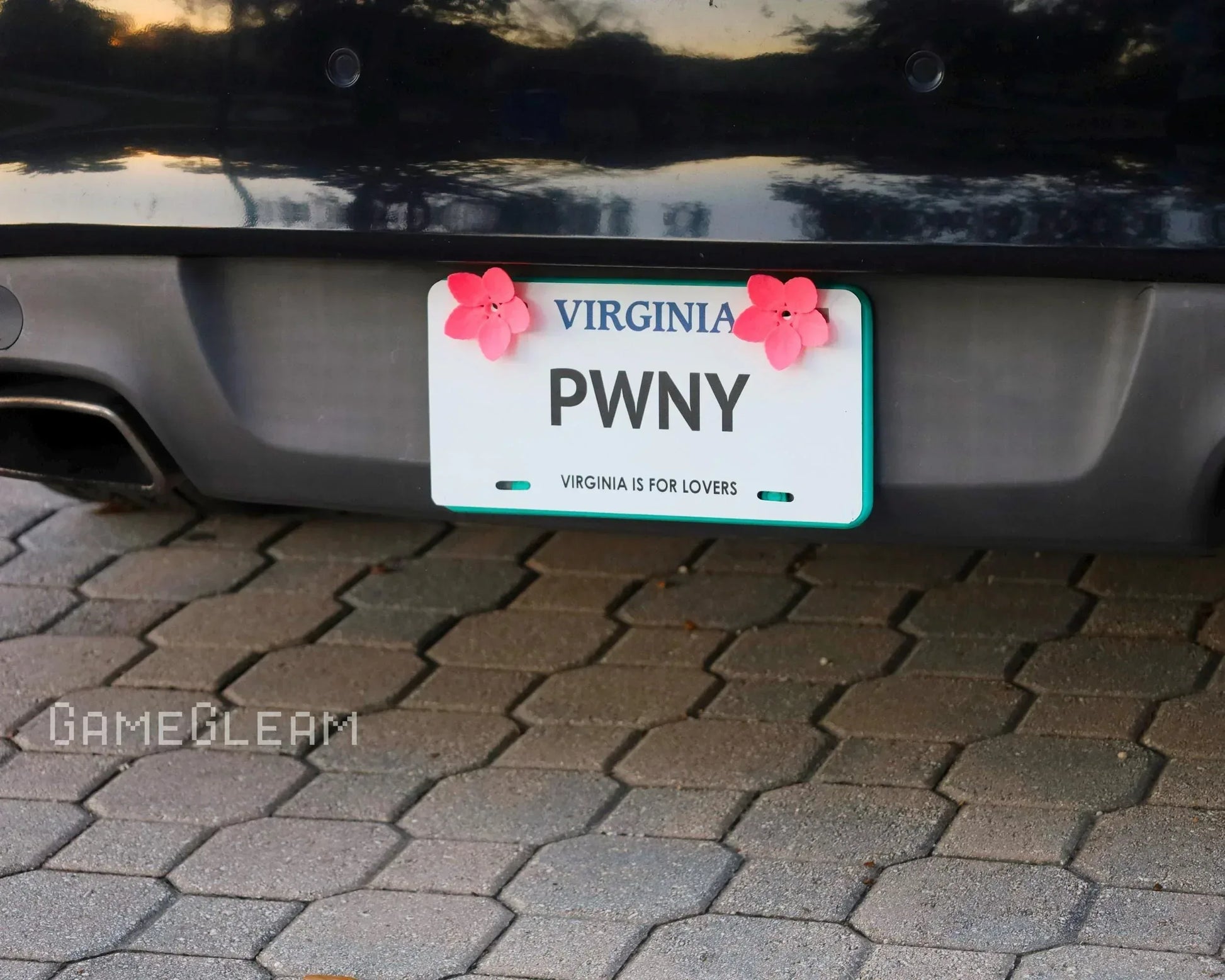 Virginia car license plate with pink flower accessories and playful custom text PWN Y