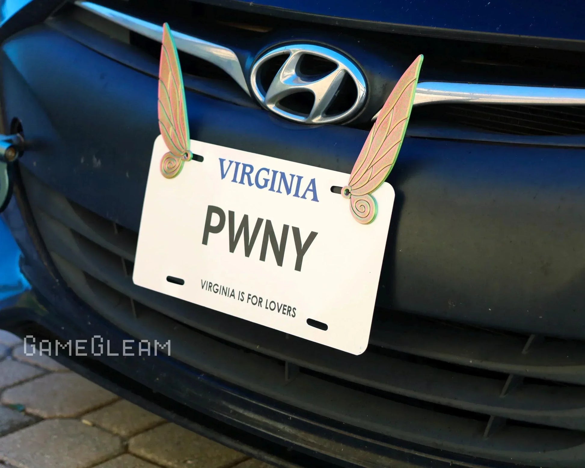Virginia license plate with holographic wing-shaped charms on a car front grille