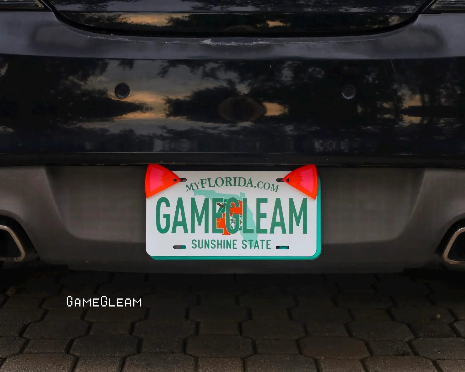 Florida license plate with red novelty dice corners mounted on a car, gamer accessory detail