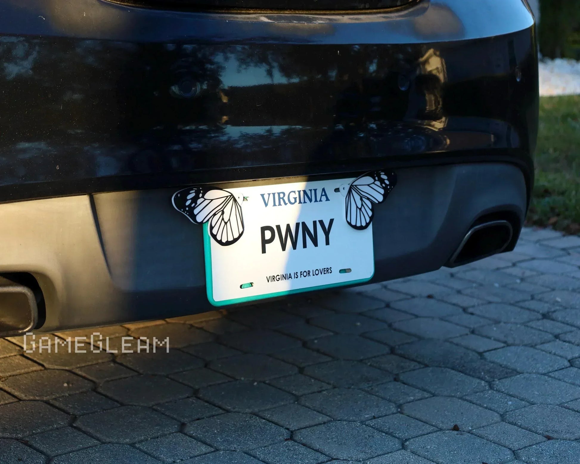 Virginia license plate with butterfly decals on a black car bumper, outdoor setting
