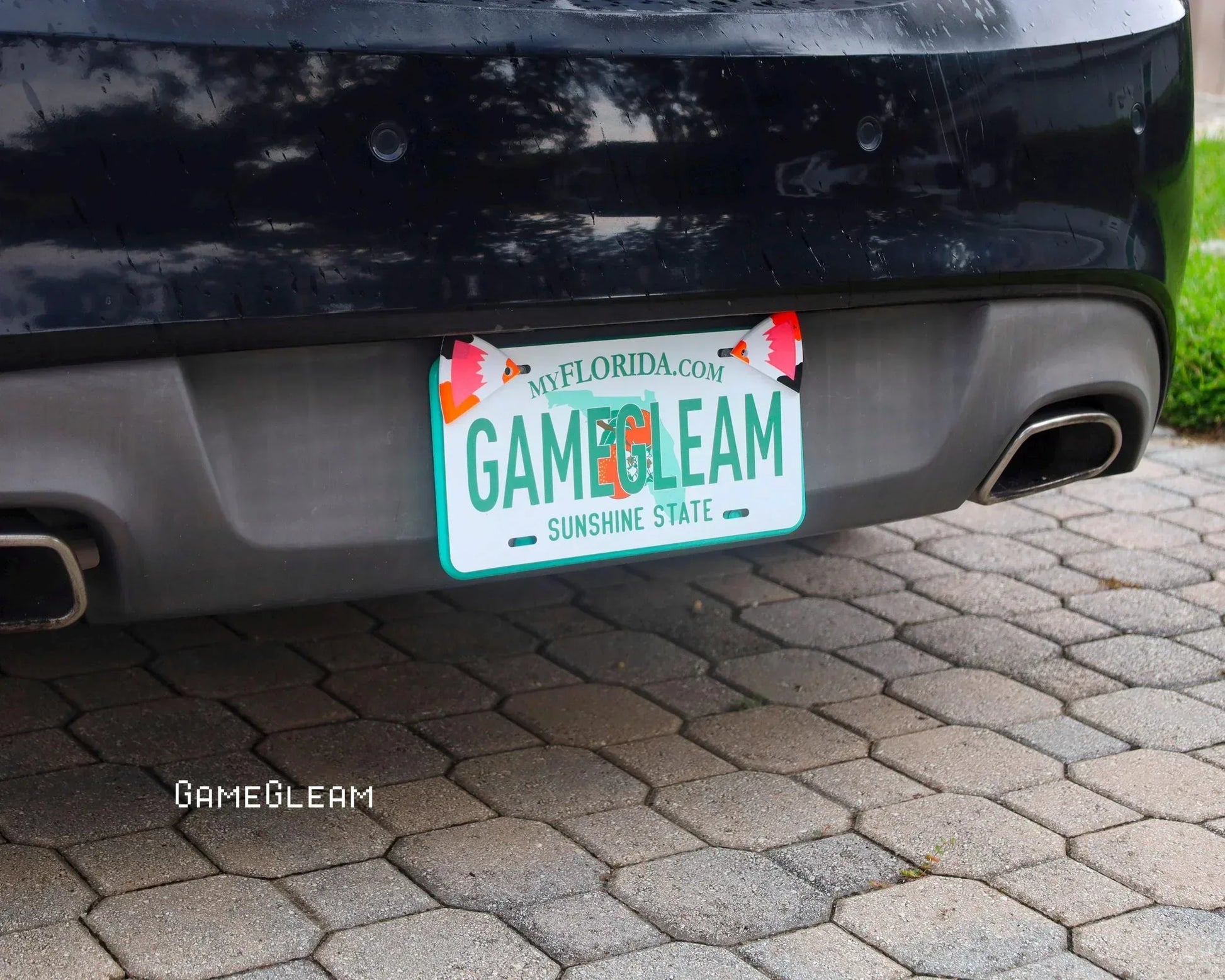 Florida car license plate with custom gamer-themed design outdoors