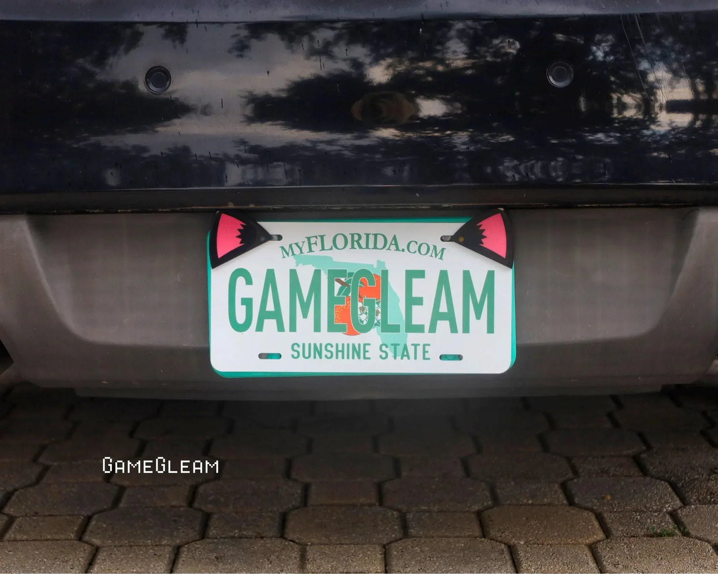 Florida license plate with cat ear decorations on a car, playful geek car accessory
