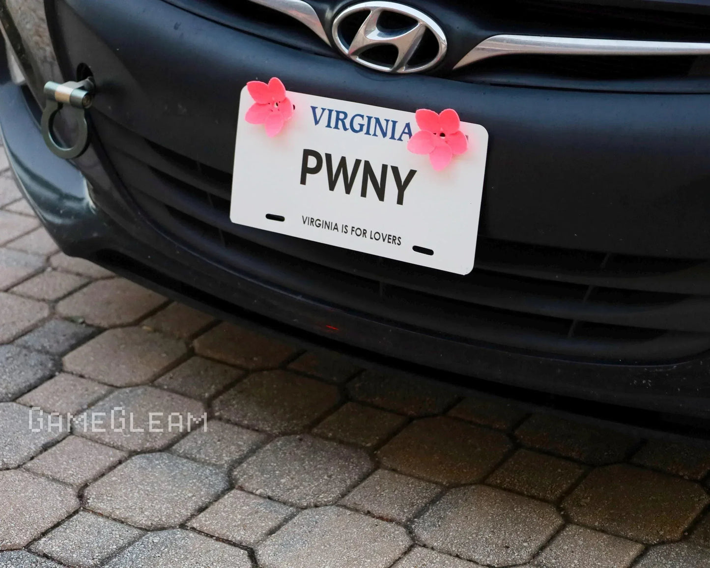 Virginia novelty license plate with PNWY text and pink flower decorations on a car bumper