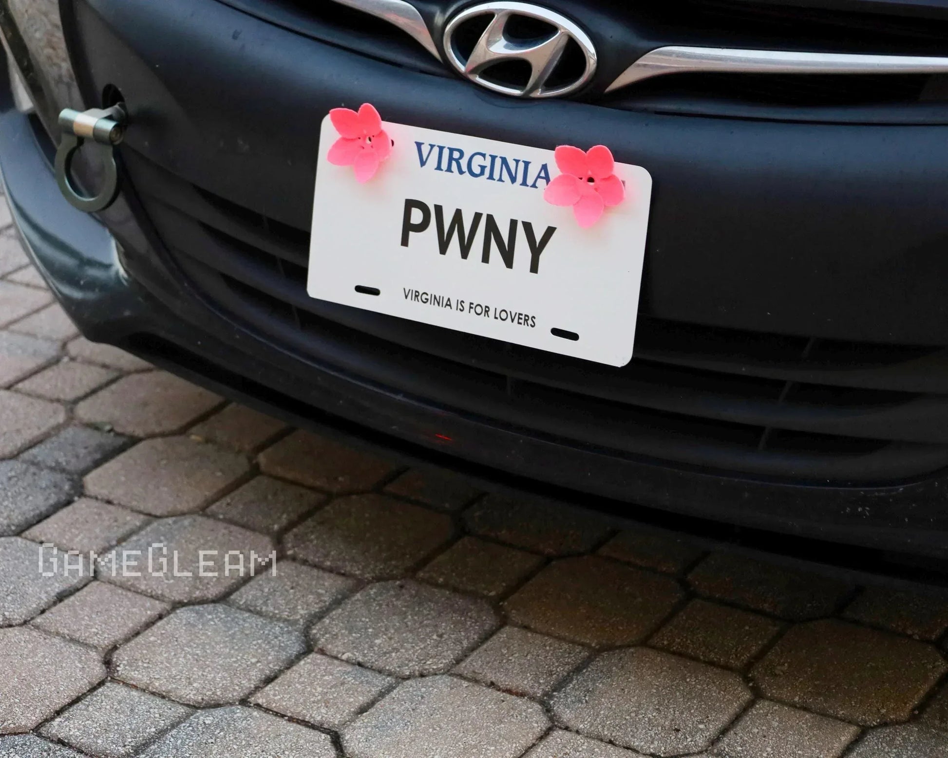 Virginia novelty license plate with PNWY text and pink flower decorations on a car bumper