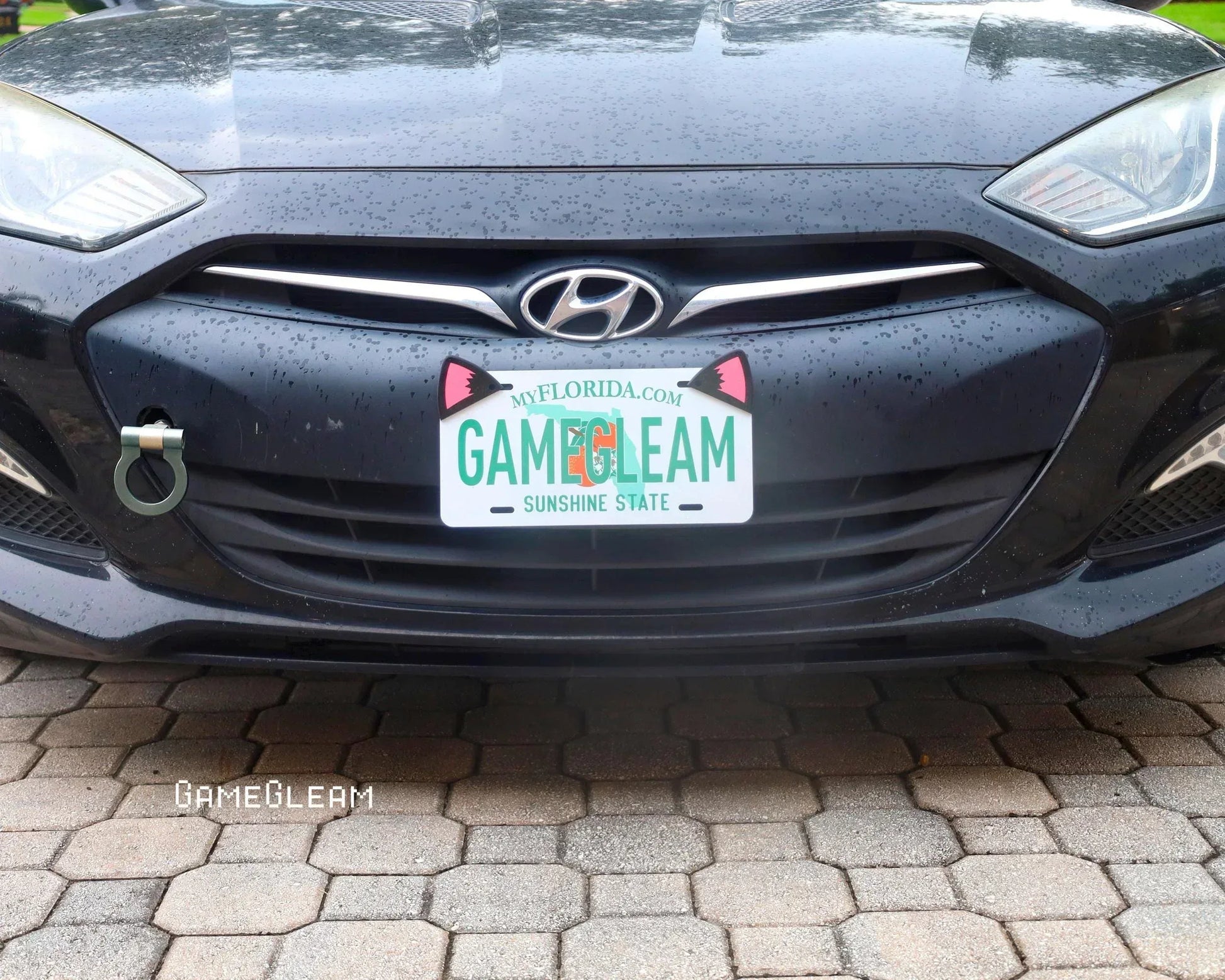 Close-up of a black Hyundai car with a novelty Florida license plate featuring green and orange letters and cartoon cat ears, parked on a stone driveway.