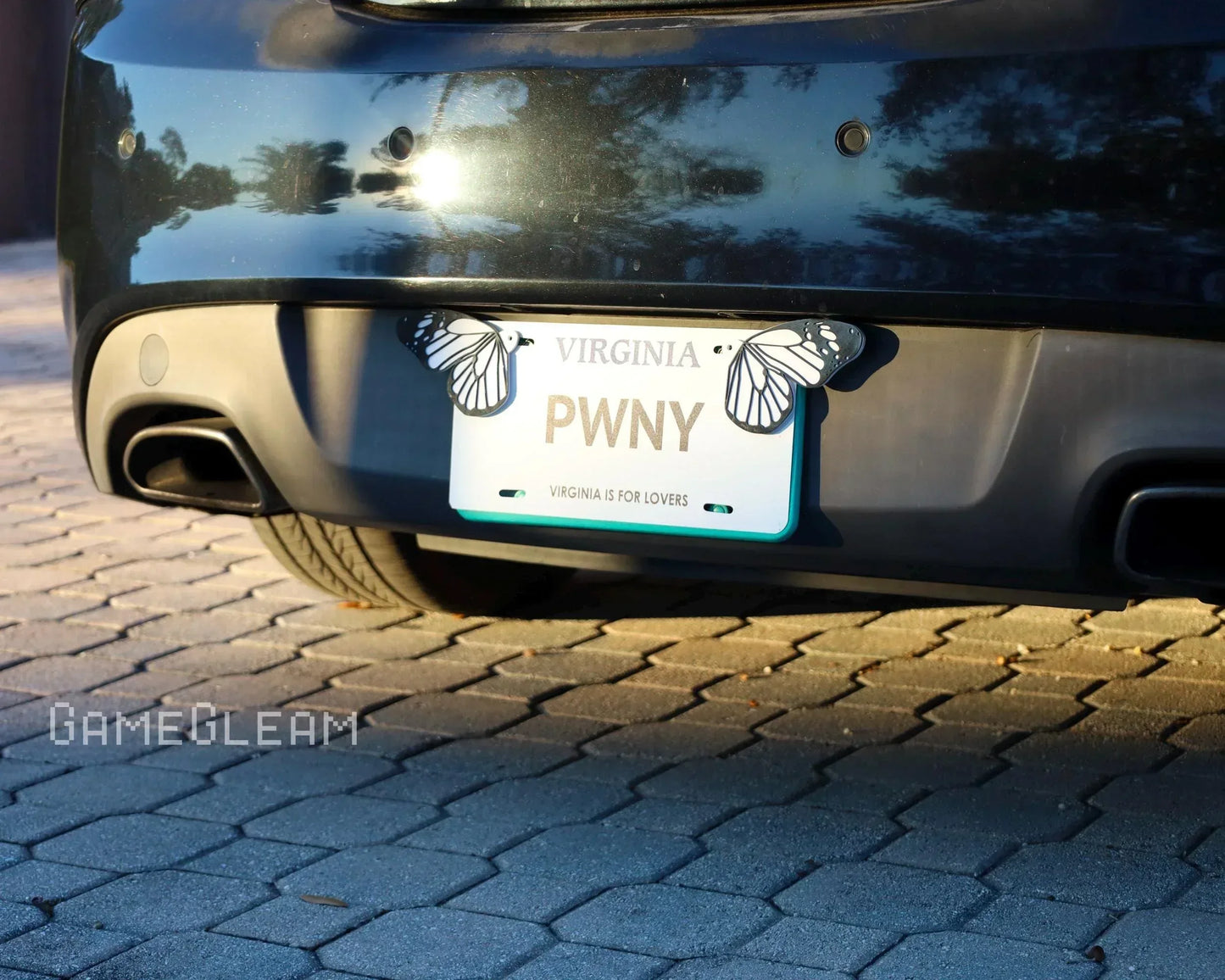 Car with custom Virginia license plate reading 'PWNY' and butterfly wings accent on plate.