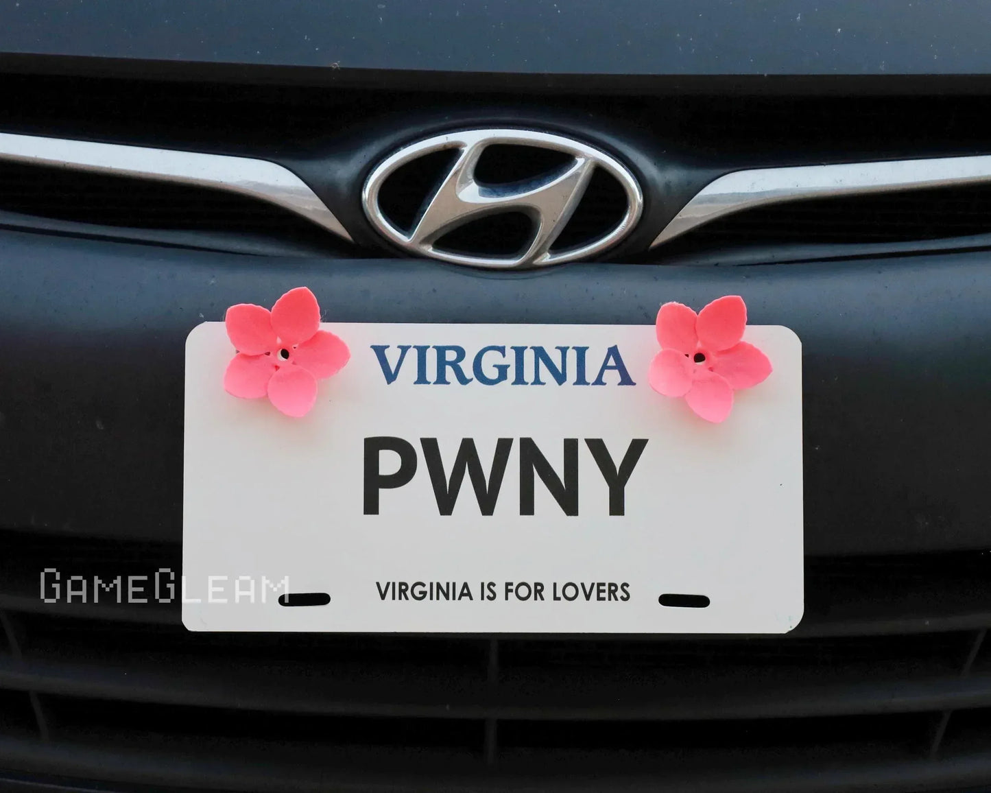 Virginia license plate with pink flower accessories on a car front grille