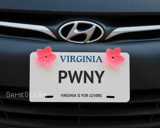 Virginia license plate with pink flower accessories on a car front grille