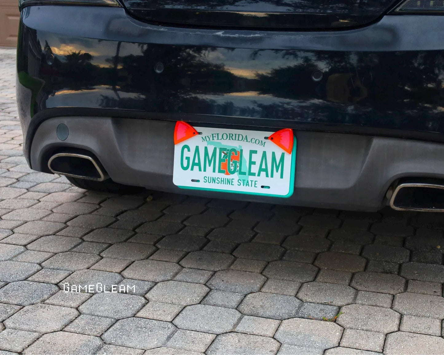 Cat ear license plate cover on a car, playful car accessory for cat lovers