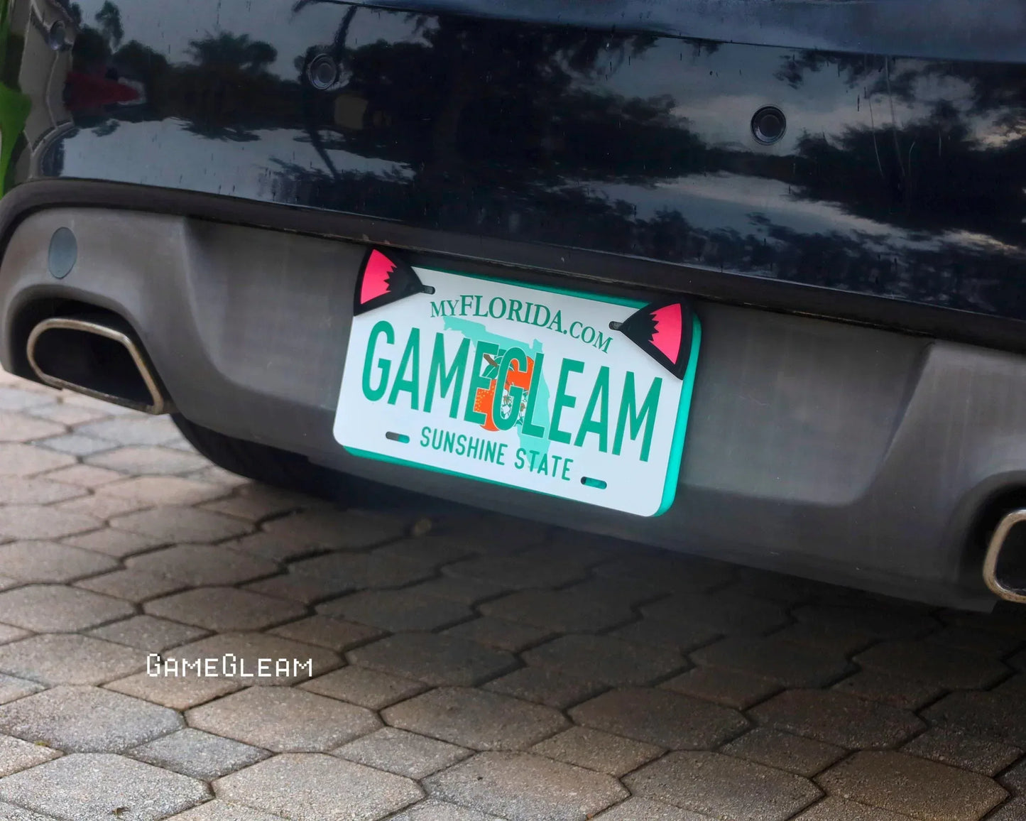 Florida license plate frame with cat ears on a black car, parked on a stone driveway