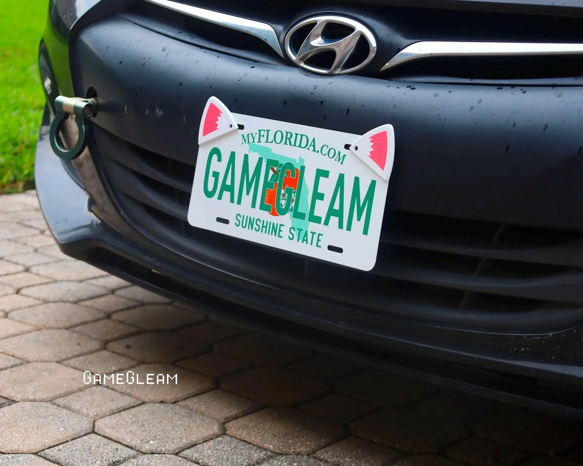 Novelty Florida license plate reading 'GAMEGLEAM' with cat ear decorations on a black car.