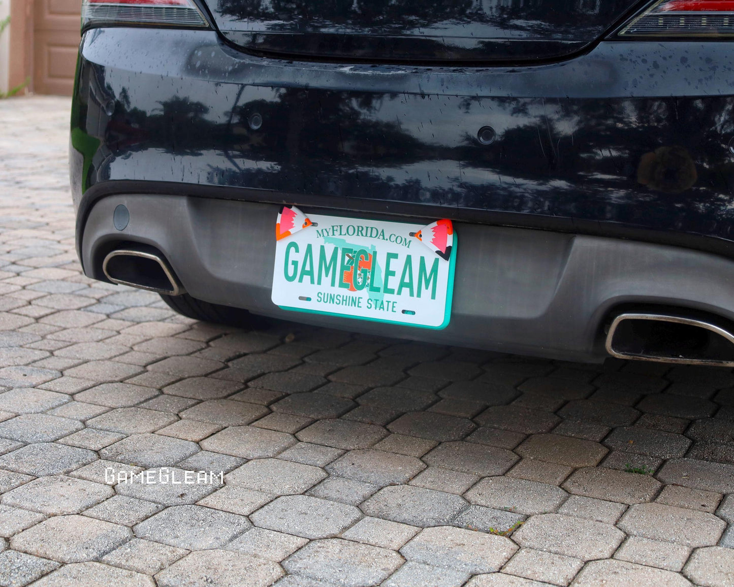 Black car with custom Florida license plate featuring 'GAMEGLEAM' text on stone driveway.