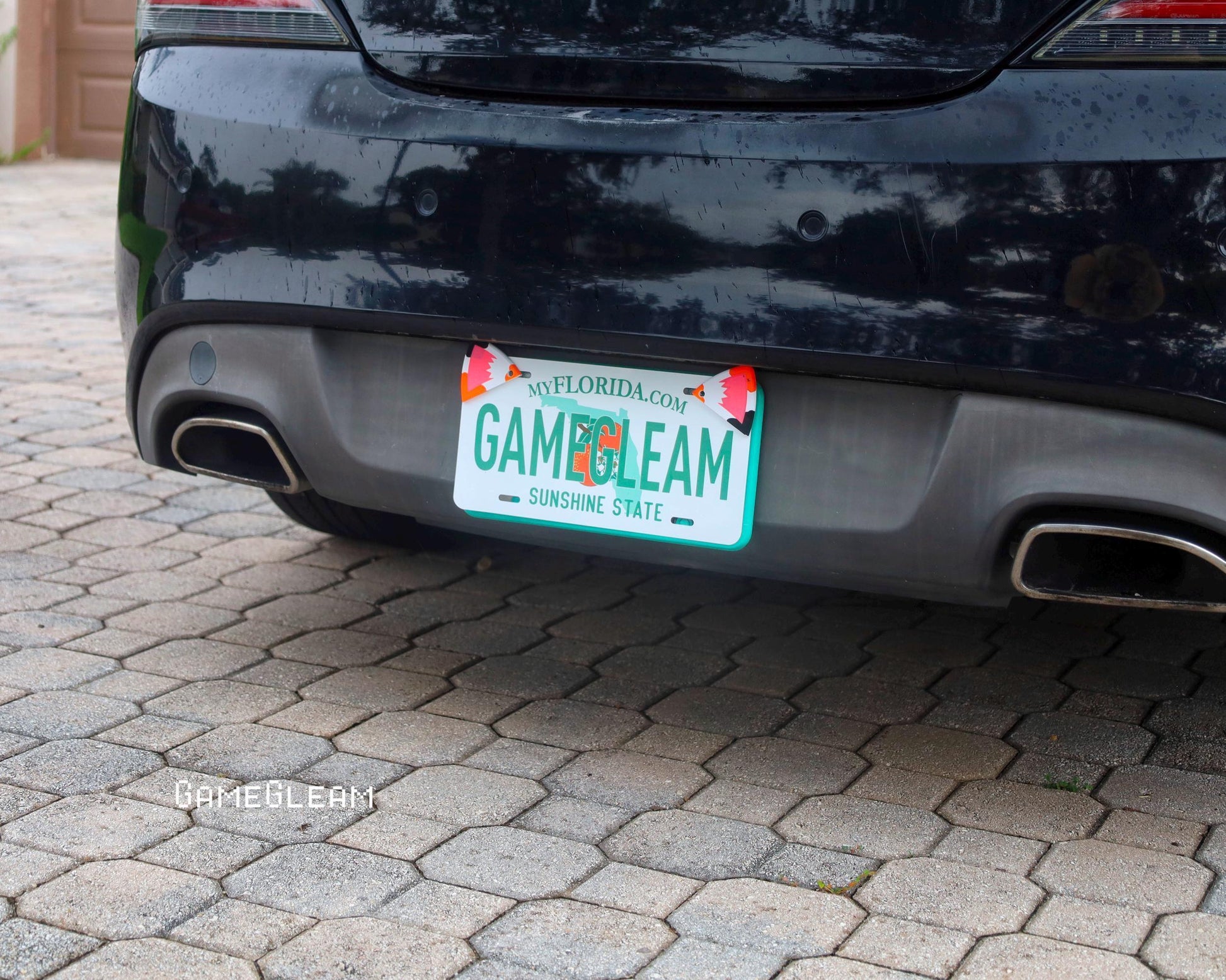 Black car with custom Florida license plate featuring 'GAMEGLEAM' text on stone driveway.