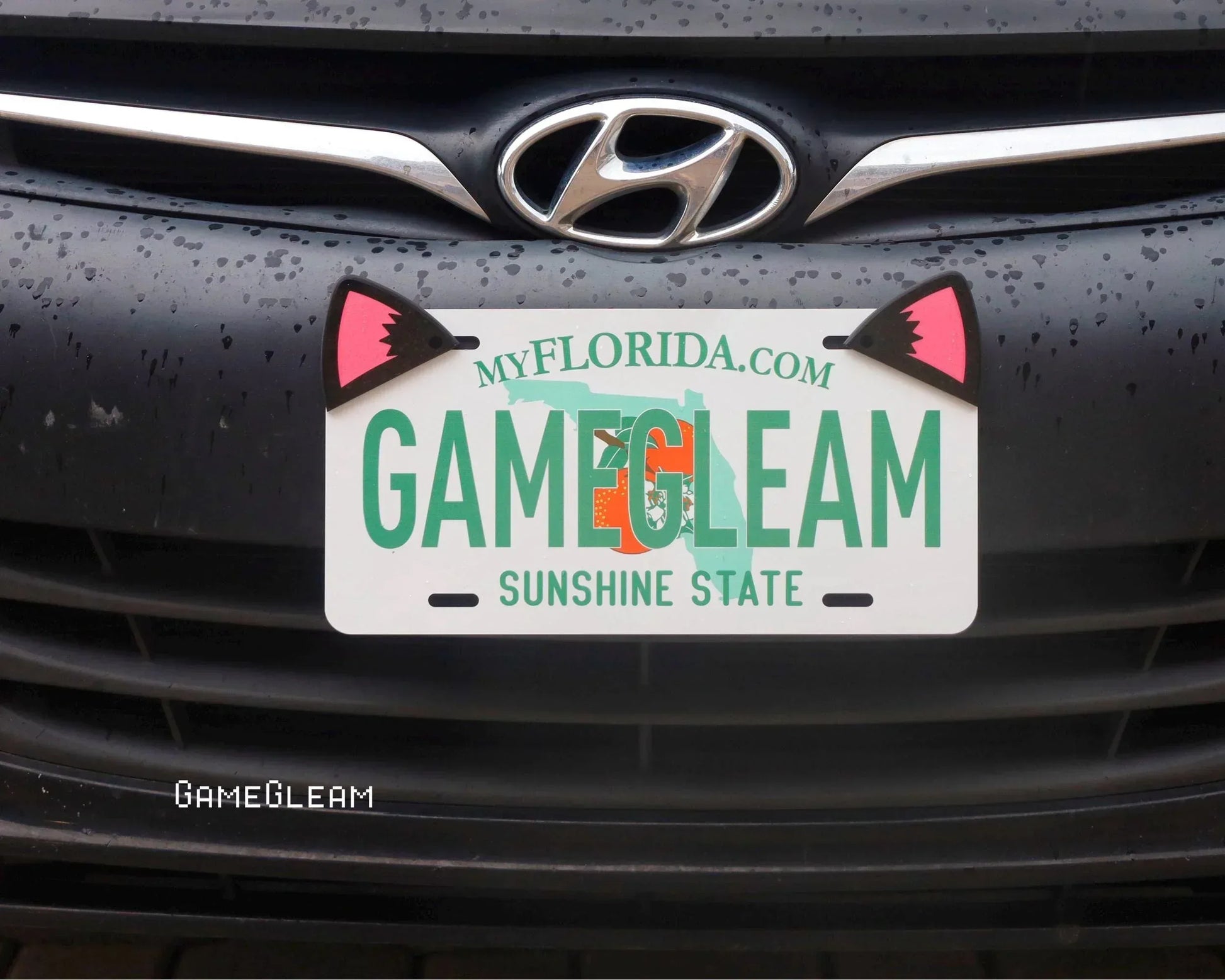 Novelty Florida license plate with cat ear accents on a car front grille