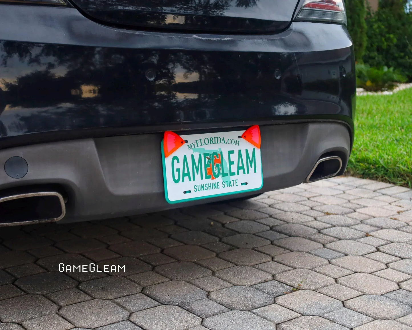 Car rear view with novelty license plate reading GAMEGLEAM, featuring red fish decorations.