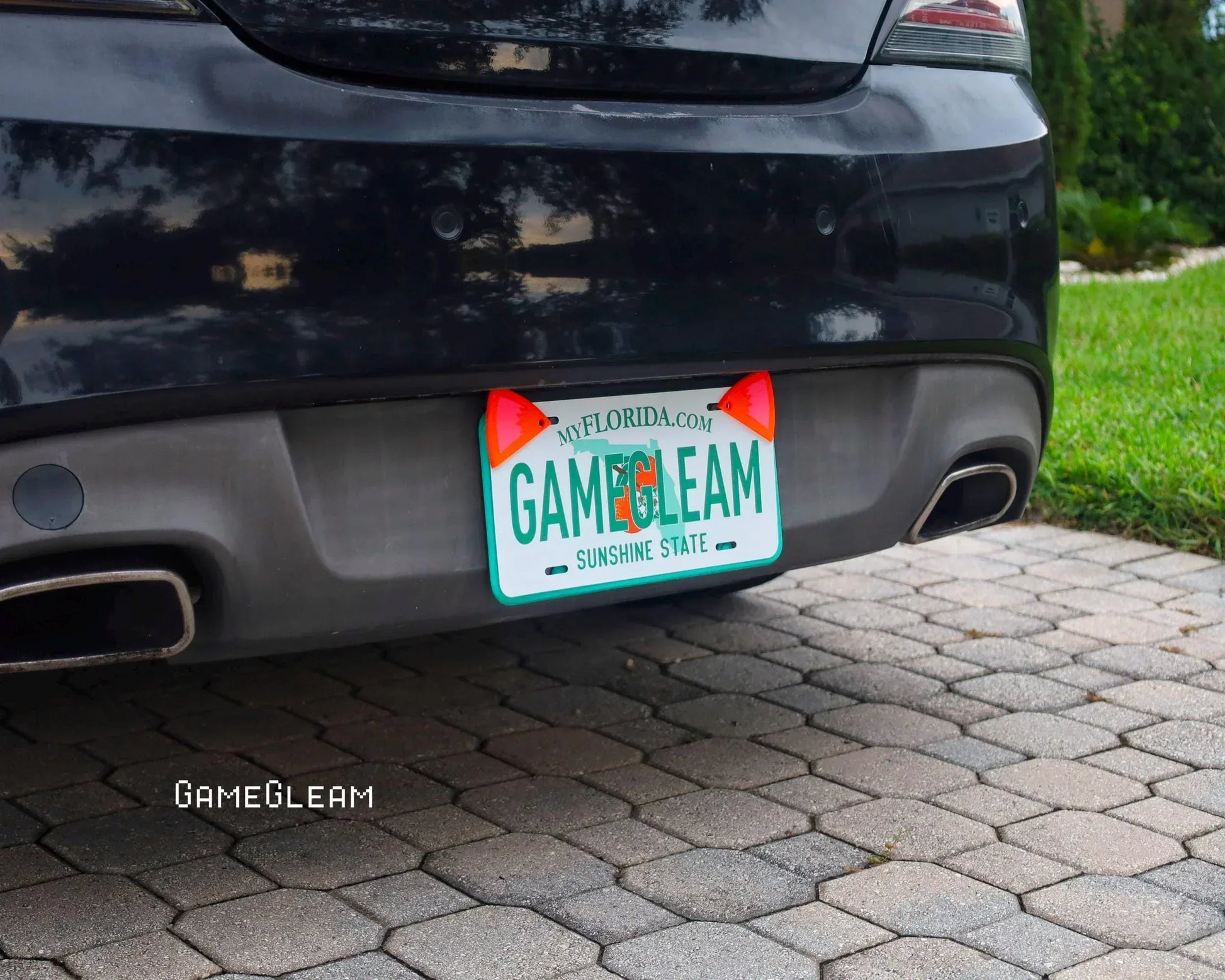 Car rear view with novelty license plate reading GAMEGLEAM, featuring red fish decorations.
