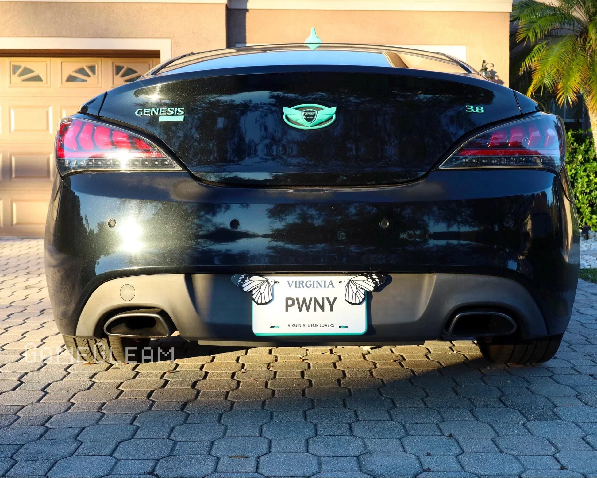 Rear view of a black Genesis car with butterfly Virginia license plate on driveway