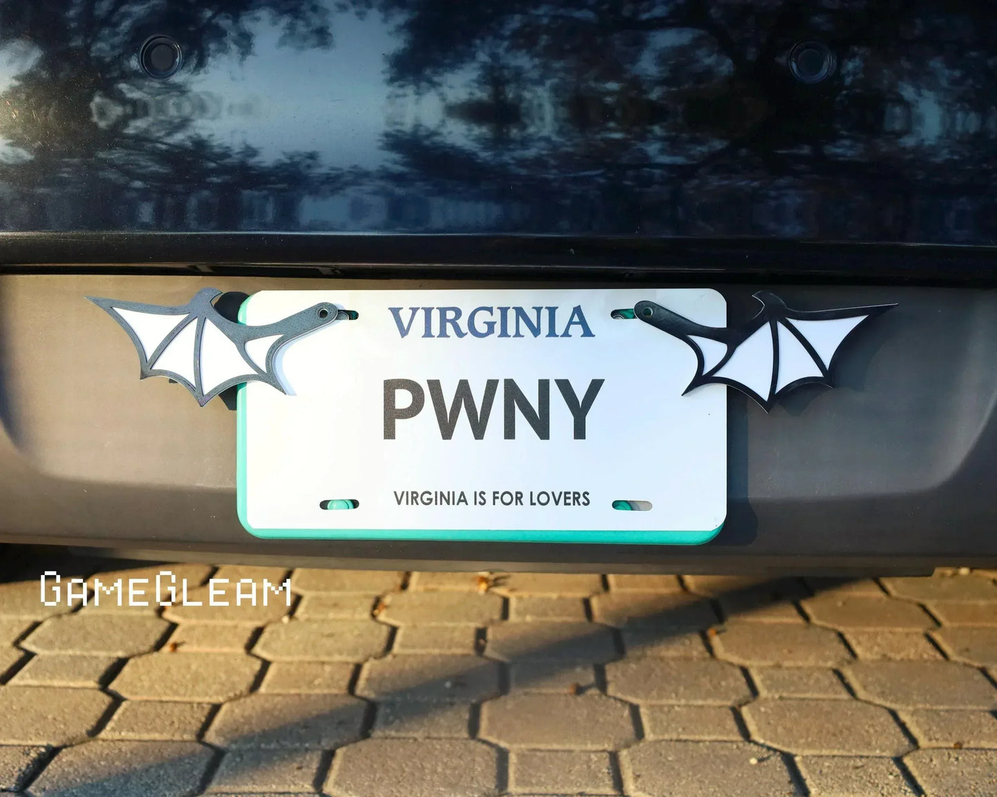 Novelty license plate frame with black and white dragon wings on a car, outdoor setting