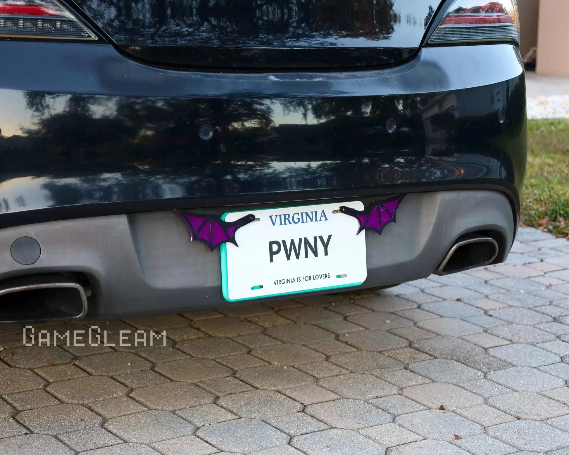 Black car with Virginia license plate and purple dragon wing decorations attached.