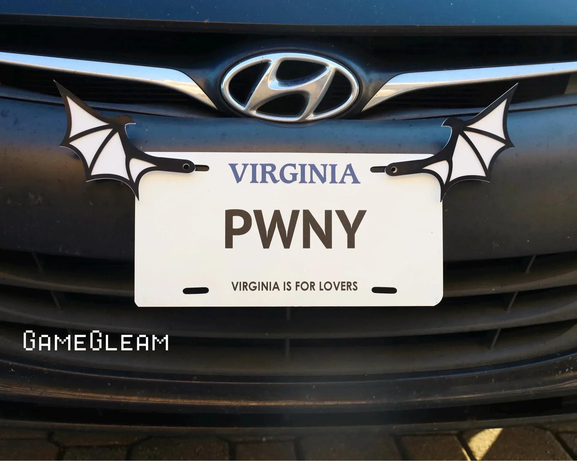 Car license plate frame with black and white dragon wings, custom novelty plate, Hyundai vehicle