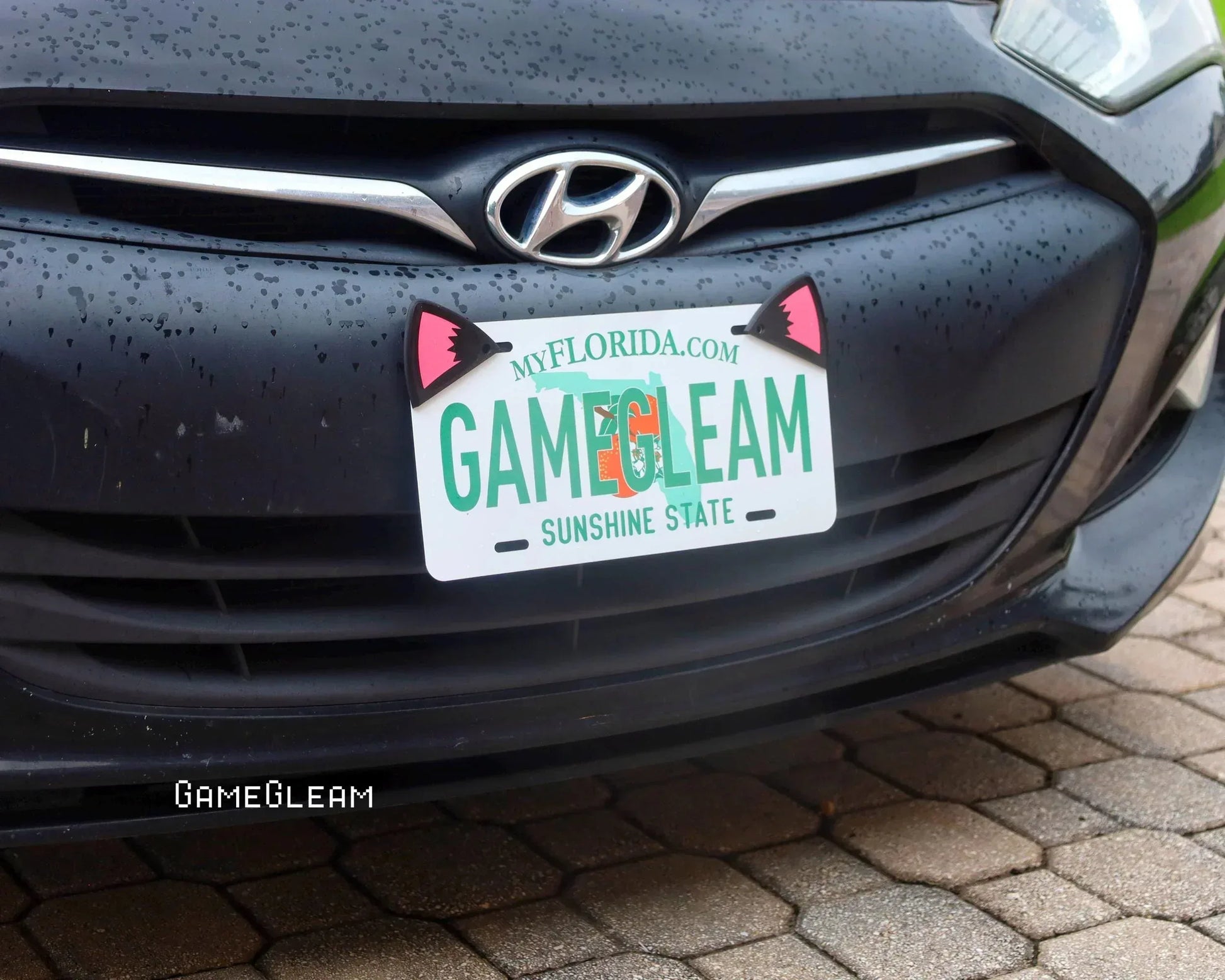 Car with a novelty Florida license plate featuring cat ears and gamer-themed text.
