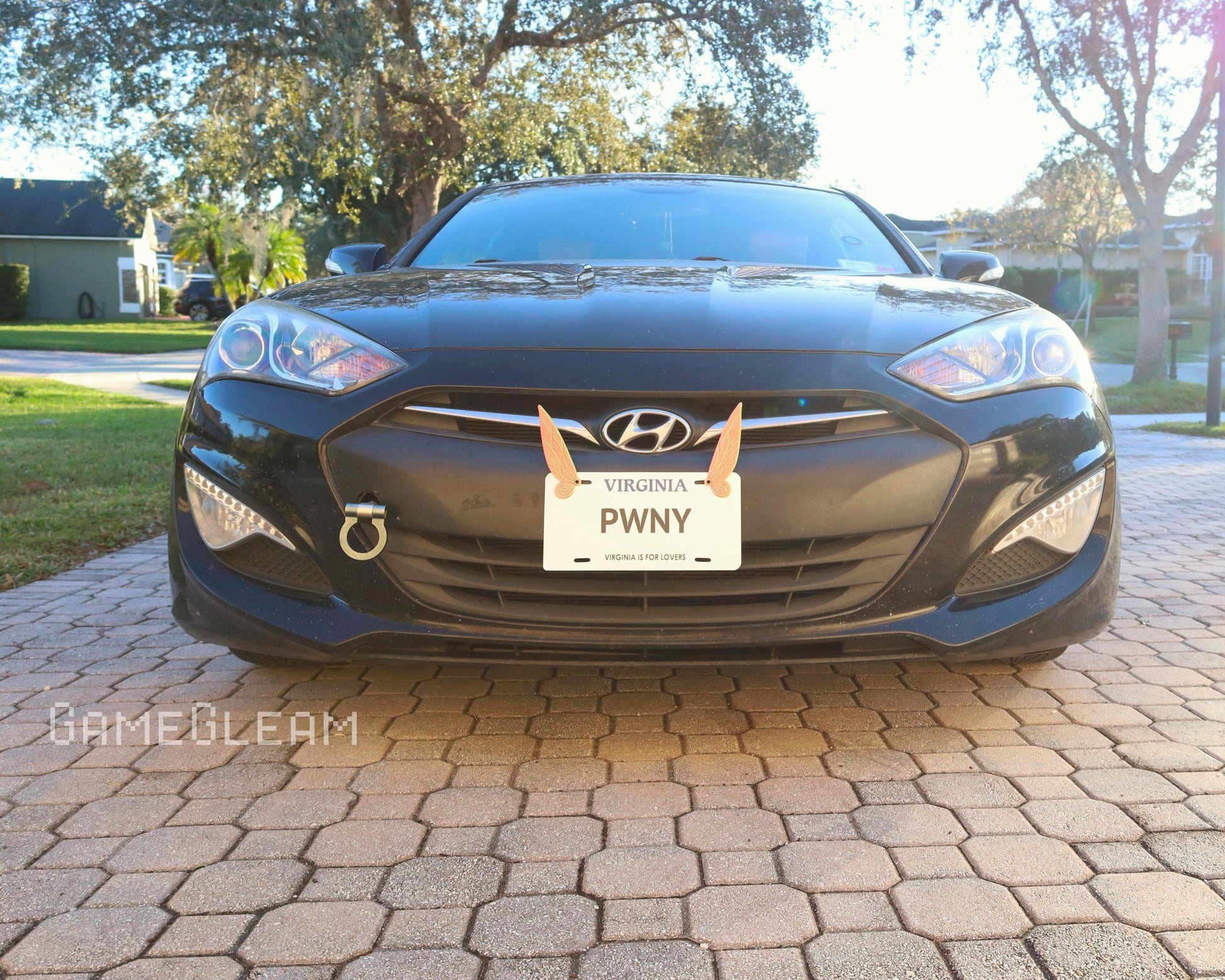 Front view of a black Hyundai car with a novelty Virginia license plate reading 'PWNY' and a gold wing accent, parked on a brick driveway.