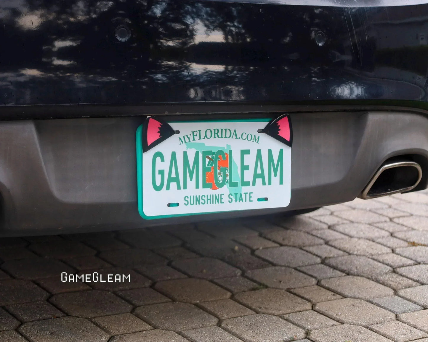 Car with Florida license plate and cute black cat ear accessories on the plate