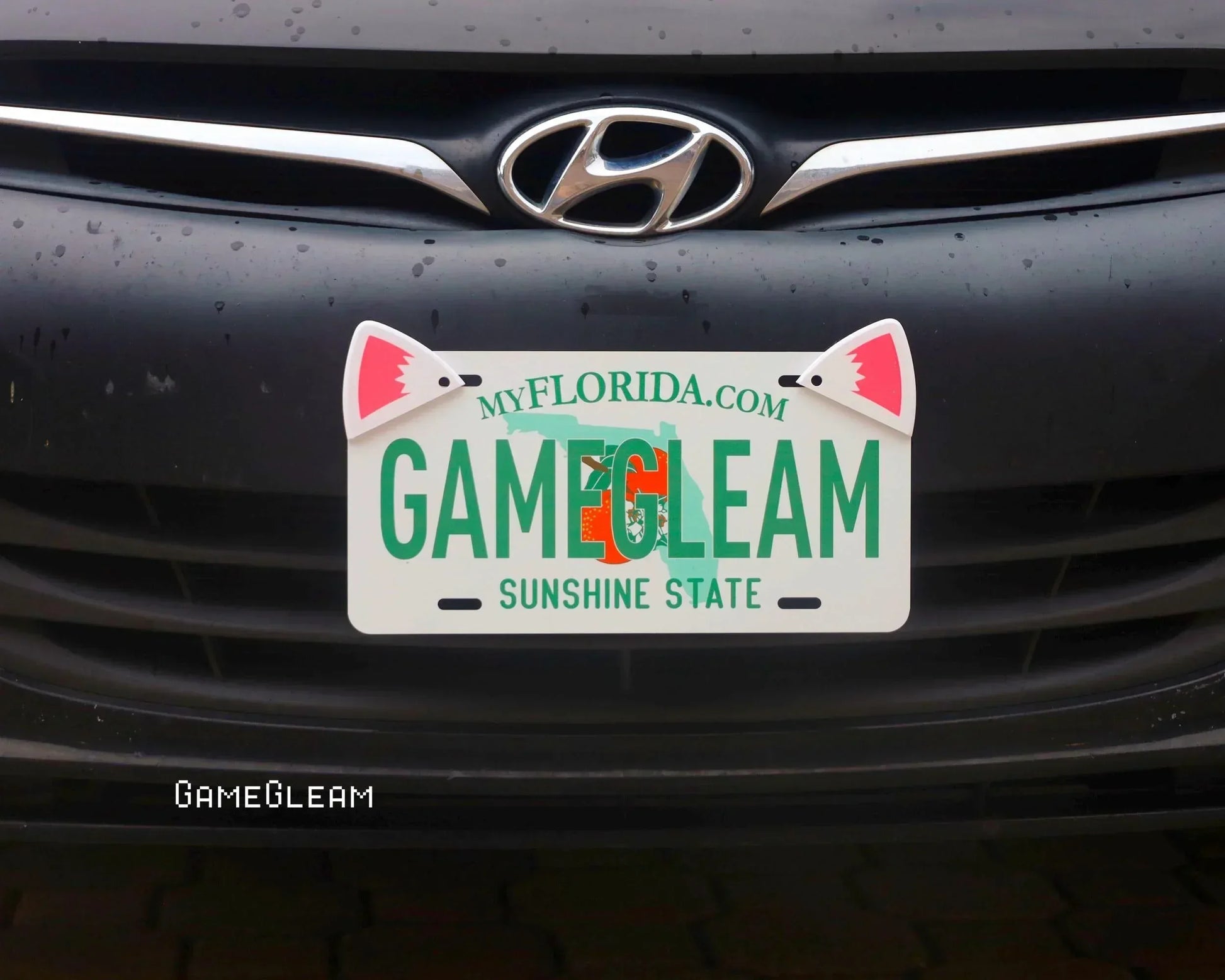 Florida license plate with 'GAMEGLEAM' text and cute shark fin decals on a car front