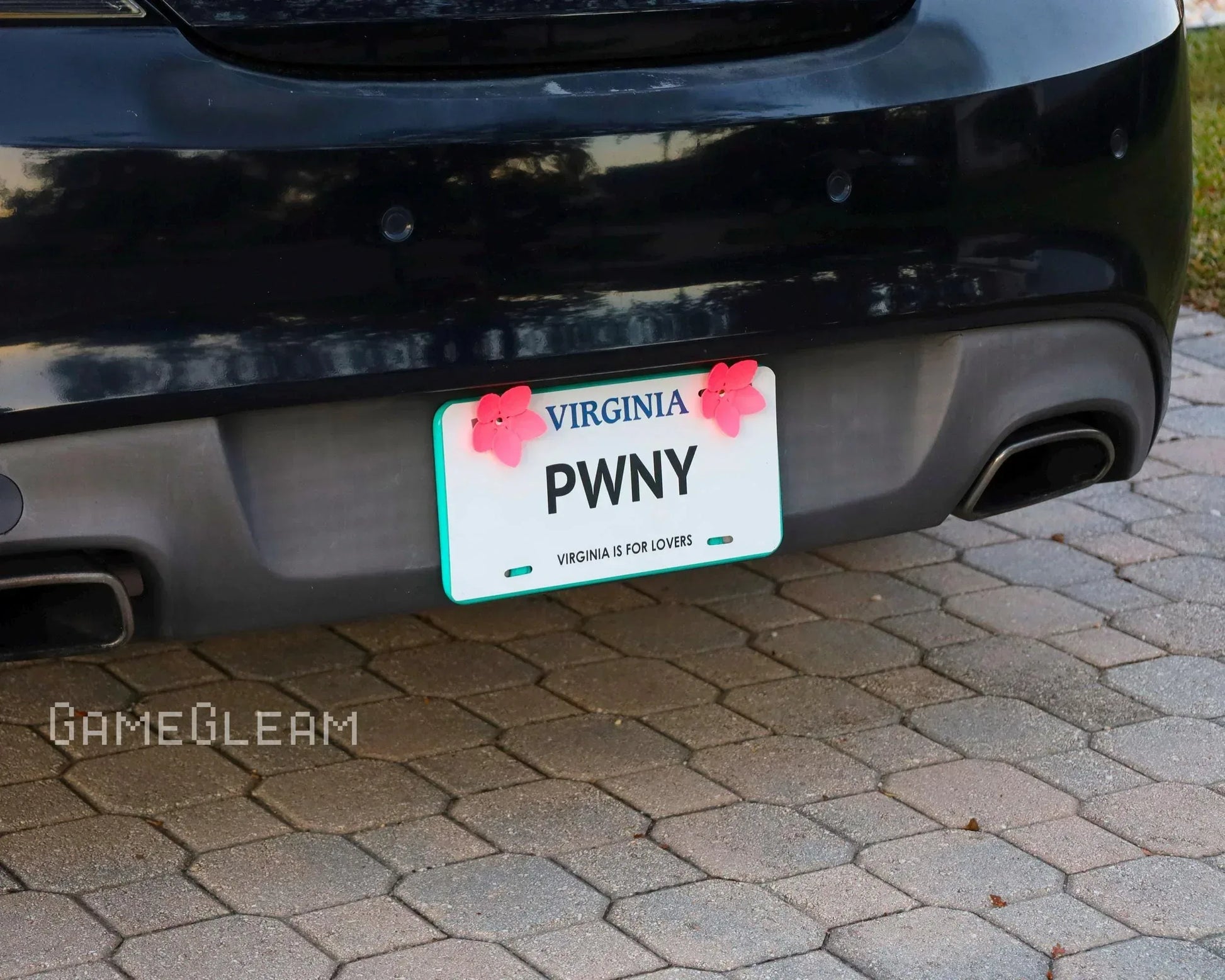 Virginia car with custom PWN license plate and pink flower decals on brick driveway