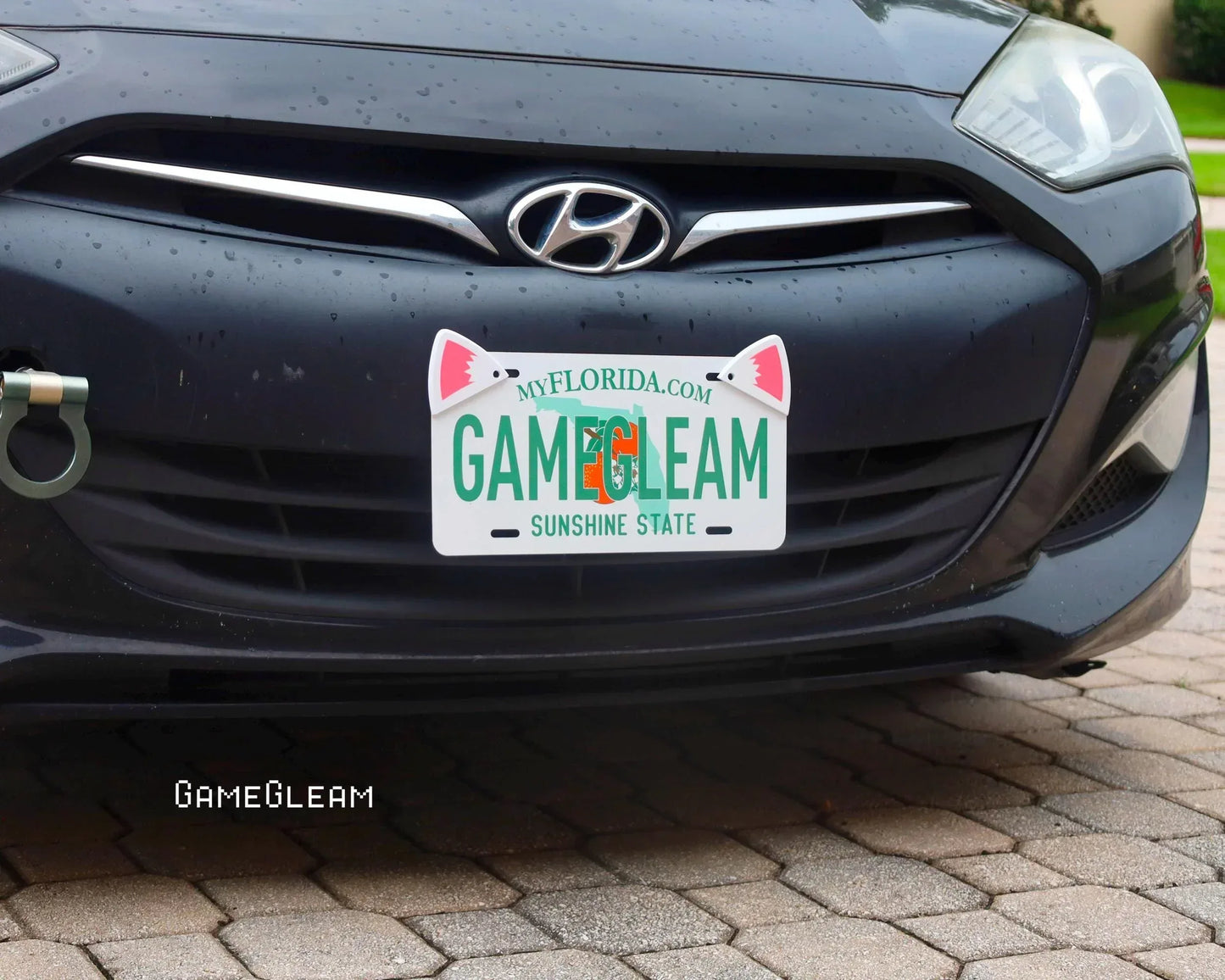 Custom Florida license plate on black car featuring cat ears and gaming theme on pavement.