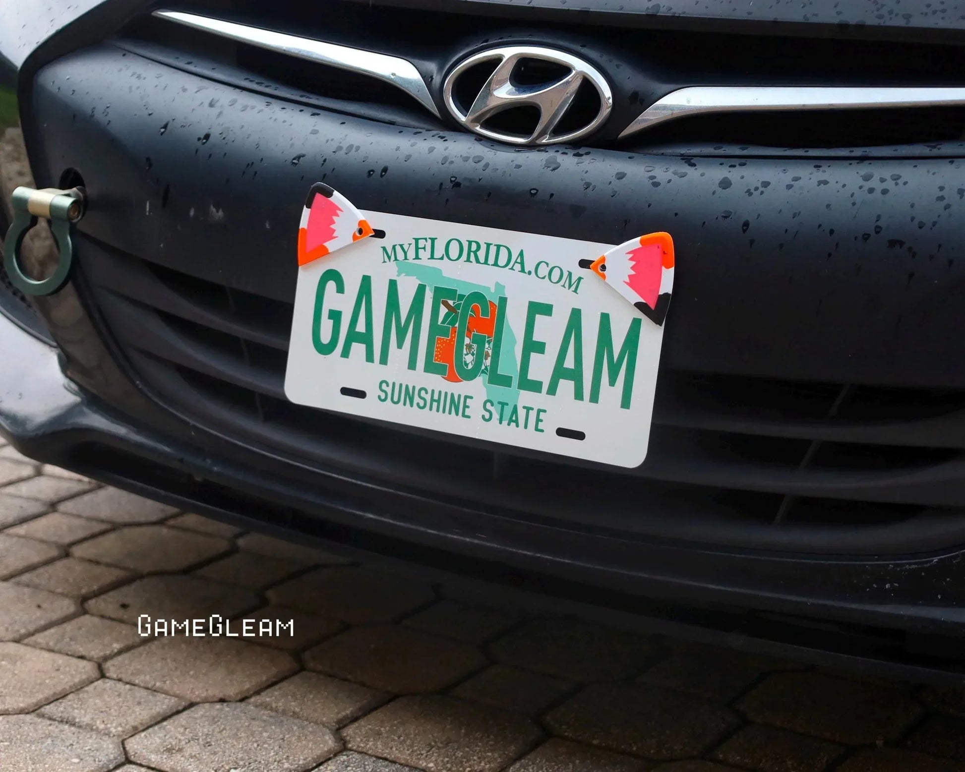 Florida vanity license plate with playful fox ear accessories on a black Hyundai.