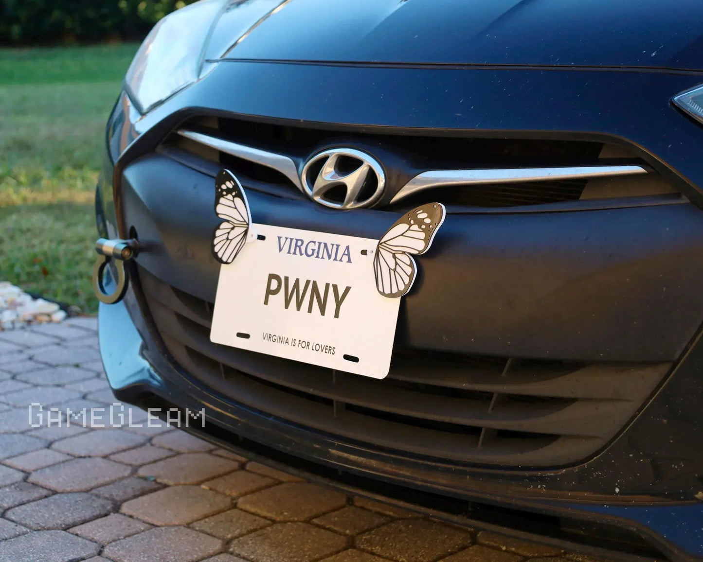 Virginia novelty license plate with butterfly decorations on Hyundai car front grill
