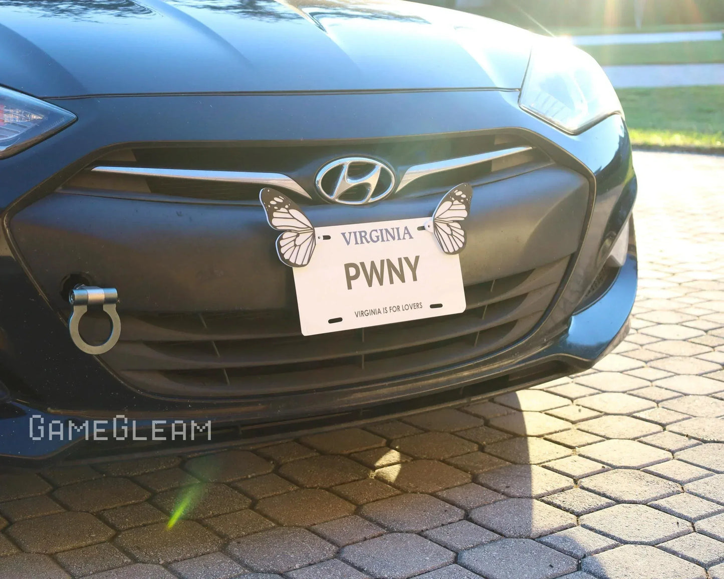 Closeup of Hyundai car front with Virginia license plate, butterfly accents, and sunlight.