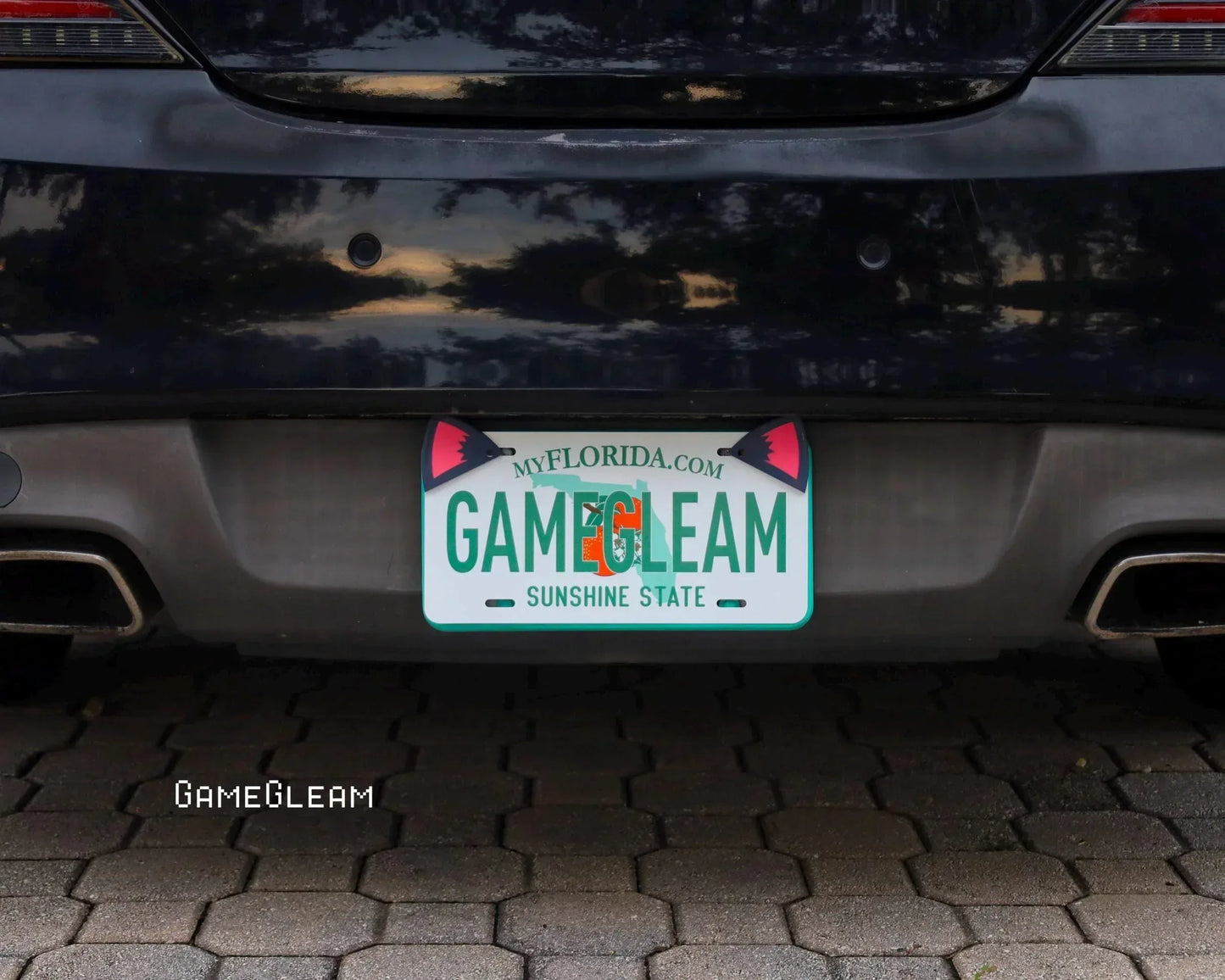 Car with a Florida novelty license plate that reads GAMEGLEAM, shown on a paved driveway.