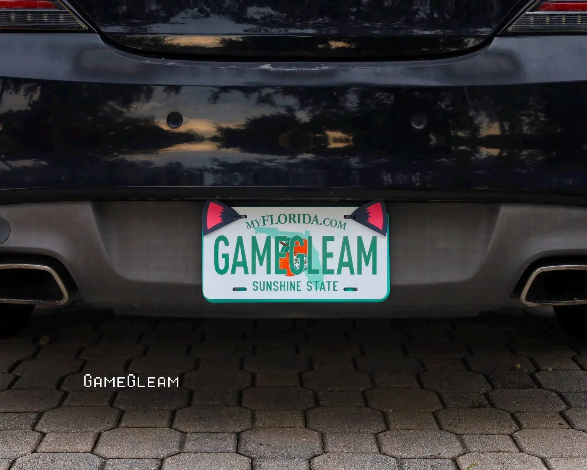 Car with a Florida novelty license plate that reads GAMEGLEAM, shown on a paved driveway.