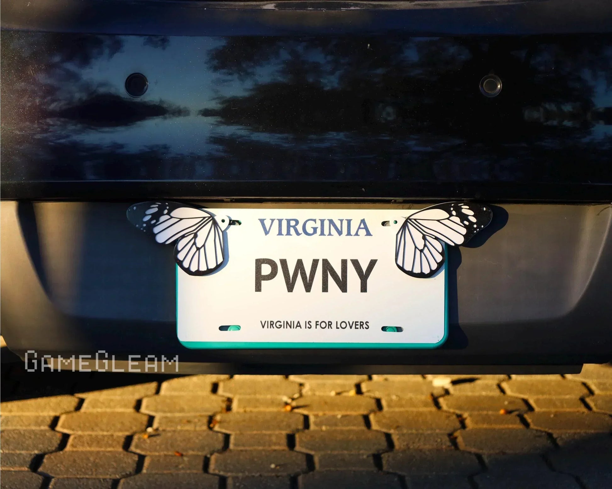 Virginia license plate with butterfly wing car accessories in sunlight