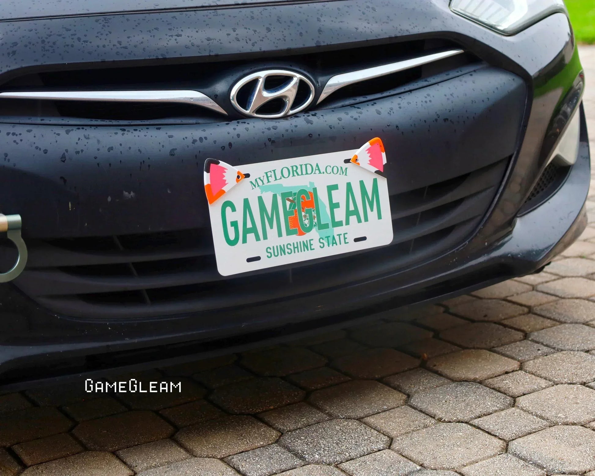 Custom Florida license plate with GAMEGLEAM text and dice motifs on a Hyundai car front.