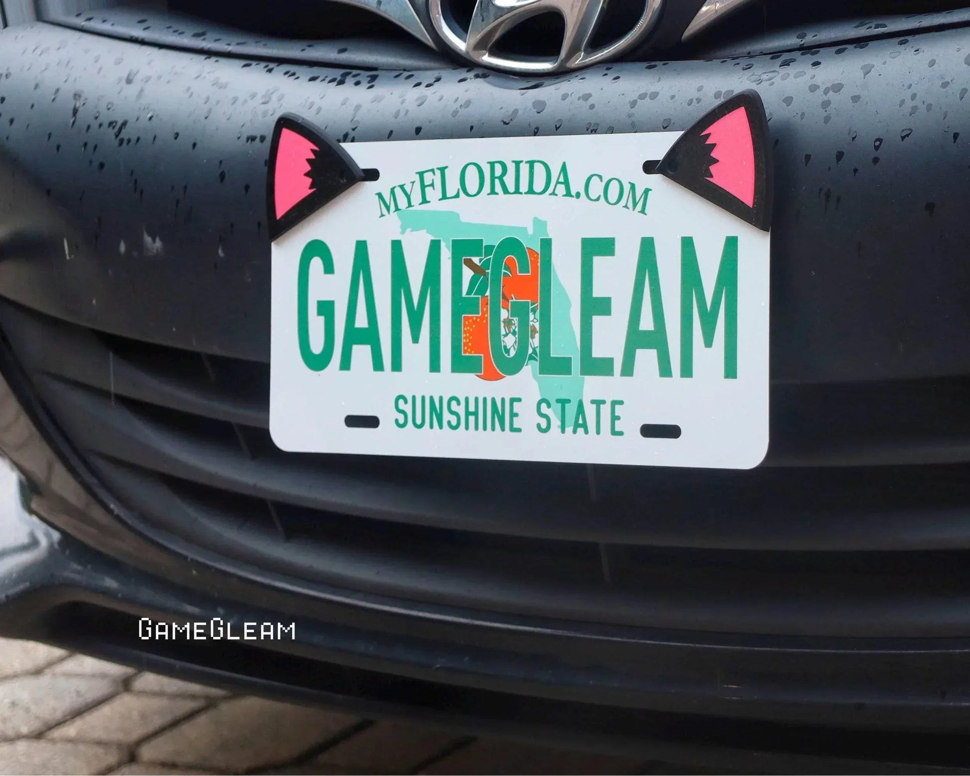 Custom Florida license plate with green and orange text, pink and black cat ears on car front.