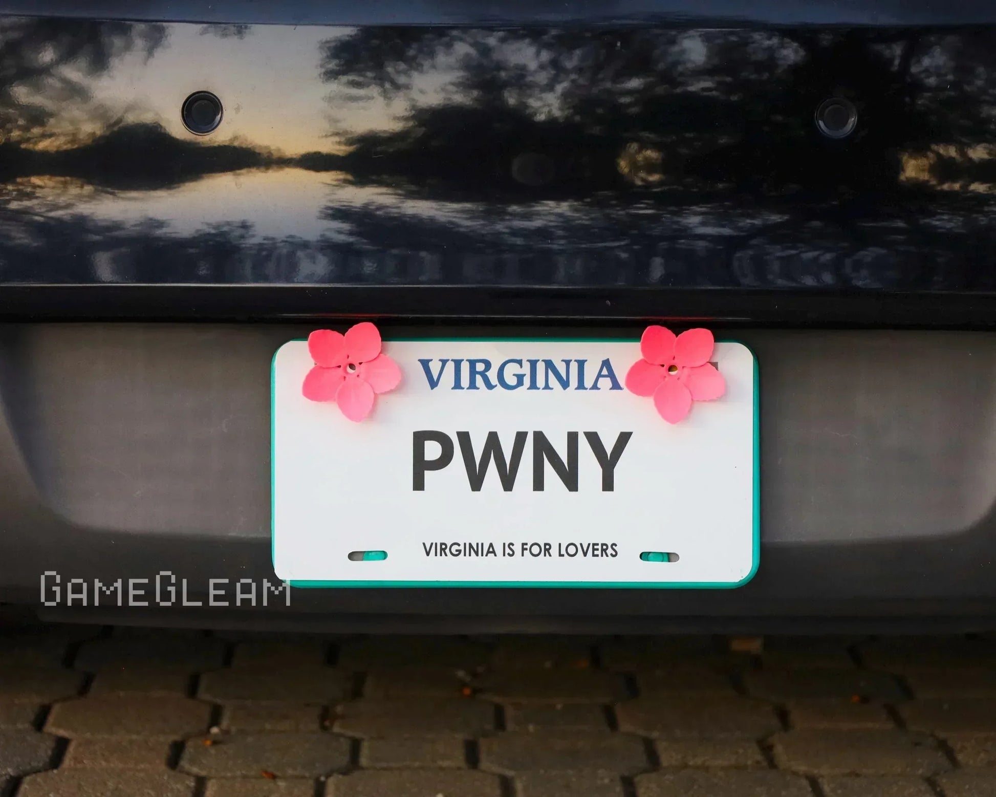 Virginia license plate with pink flower accents on a car, custom gaming accessory.